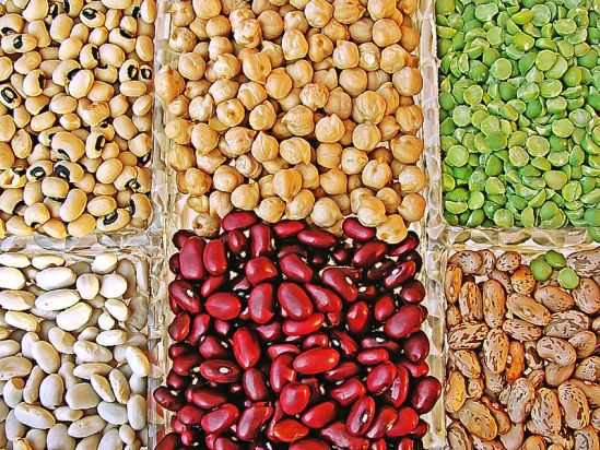 Grains, Cereals  Legumes Trading