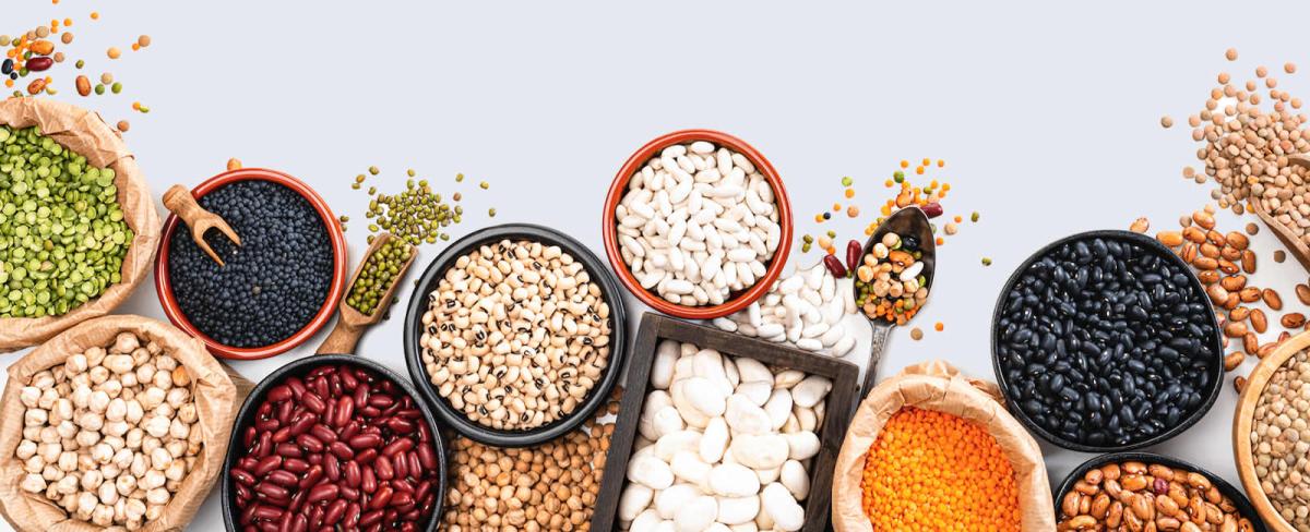 Grains, Cereals  Legumes Trading