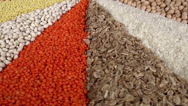 Grains, Cereals  Legumes Trading