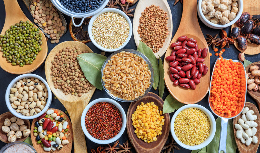 Grains, Cereals  Legumes Trading